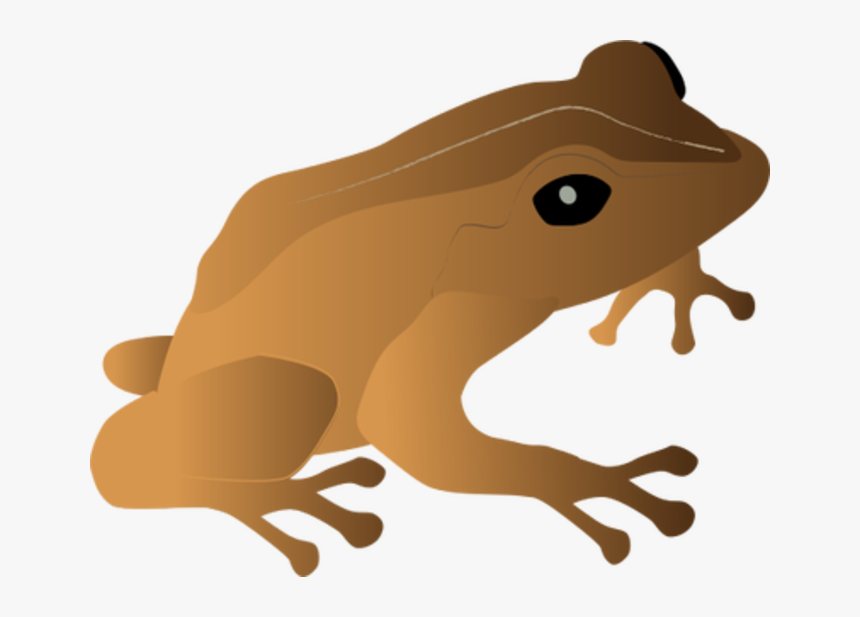 Bufo, HD Png Download, Free Download