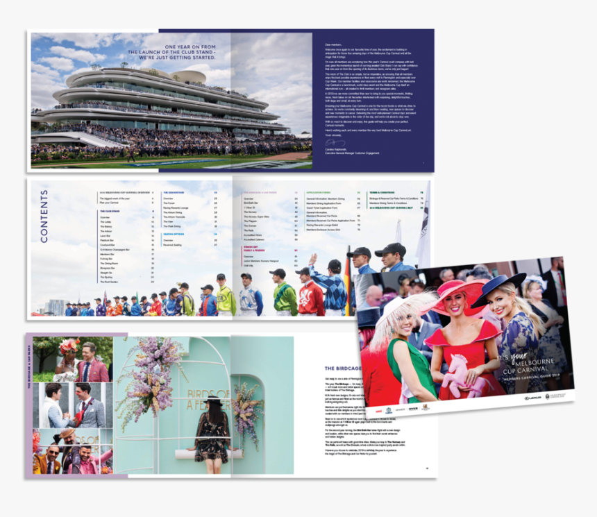 Mcc Guide 2019sml - Cruiseferry, HD Png Download, Free Download