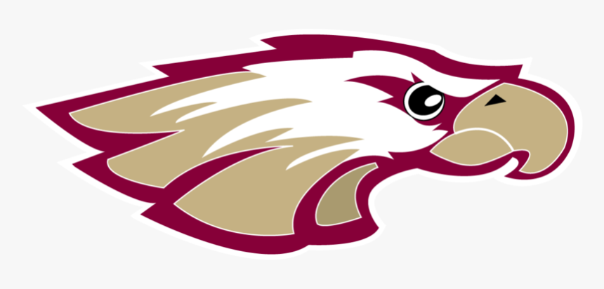 Robert Morris University Illinoislogo Square - Robert Morris University Hockey Logo, HD Png Download, Free Download