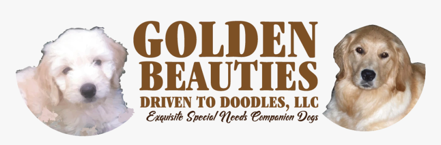 Golden Beauties - Bride, HD Png Download, Free Download