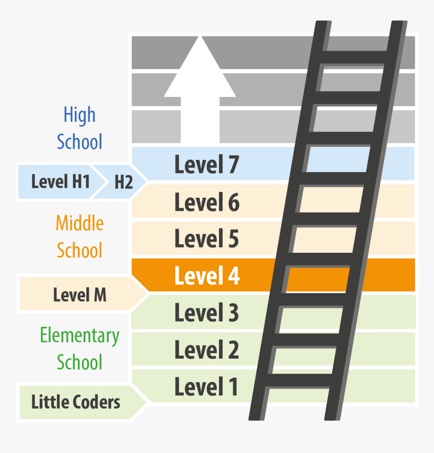 Programming Skill Levels, HD Png Download, Free Download