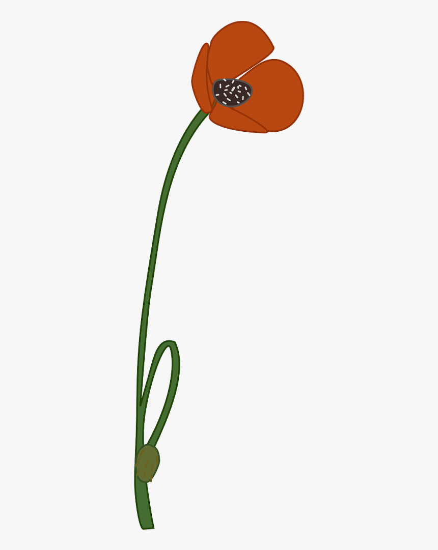 Poppy Flower Clipart Transparent Background, HD Png Download, Free Download