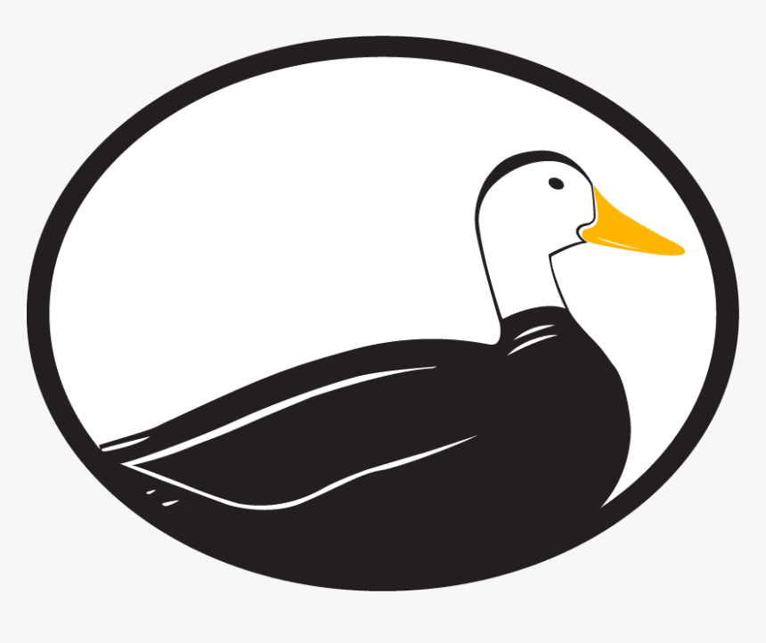 Logo - Duck, HD Png Download, Free Download
