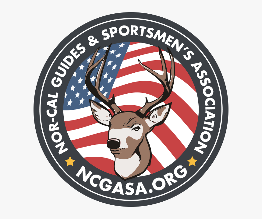 Elk, HD Png Download, Free Download