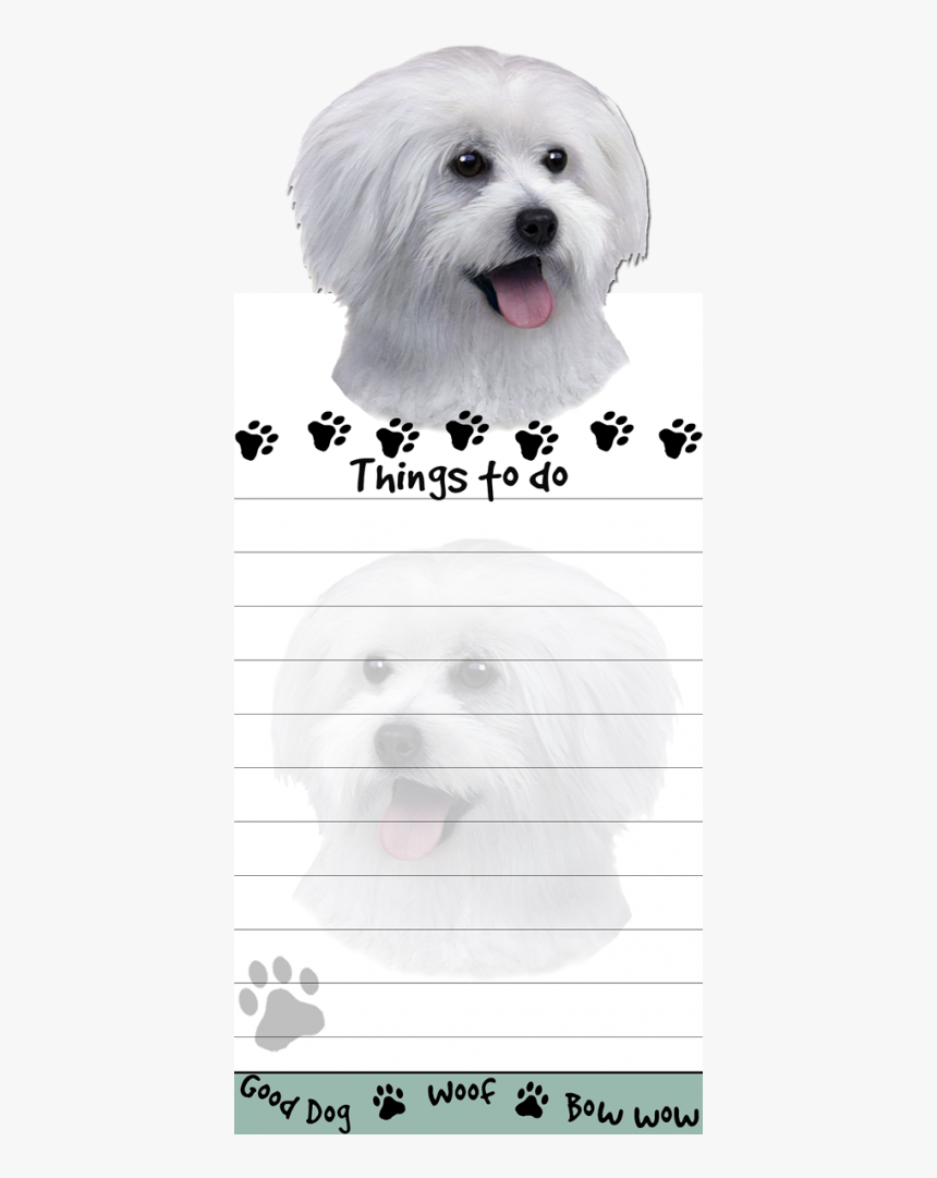 Shih Tzu, HD Png Download, Free Download