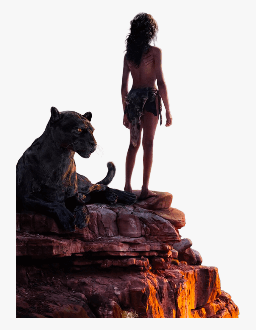 Black Panther In Mowgli, HD Png Download, Free Download