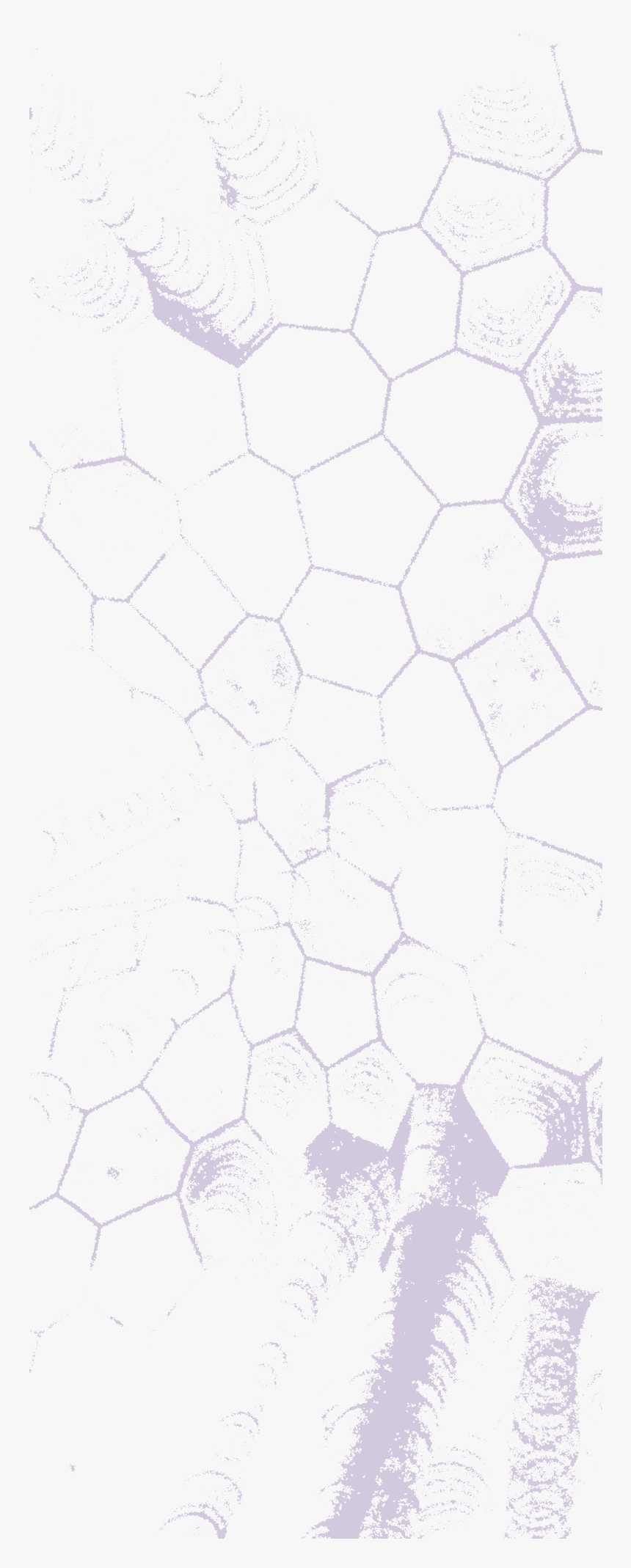 Watercolor Illustration Of A Honeycomb Structure - Cobblestone, HD Png Download, Free Download