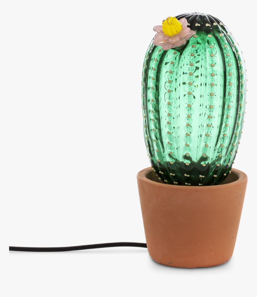 Lampada A Cactus, HD Png Download, Free Download