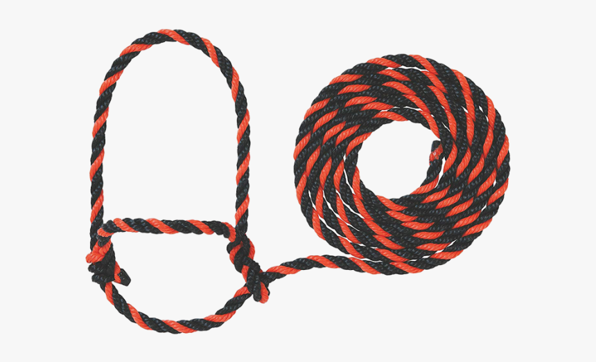 Rope Haltercow, HD Png Download, Free Download