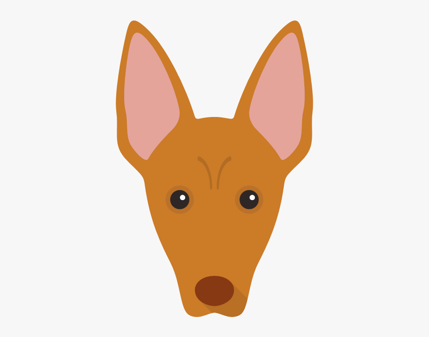 Companion Dog, HD Png Download, Free Download