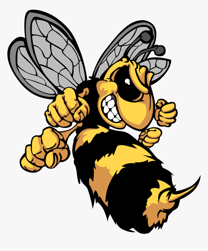 The Angry Hive - Hornets Cartoon, HD Png Download, Free Download