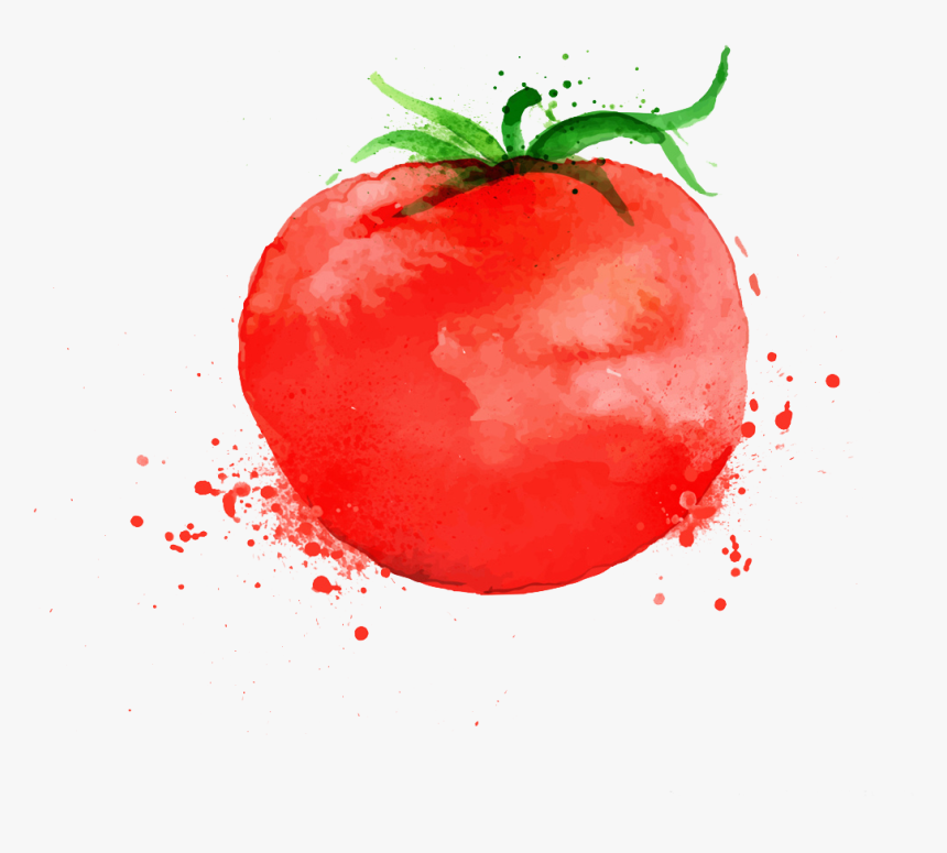 Pizza Parmigiana Tomato Soup - Tomato Watercolor Png, Transparent Png, Free Download