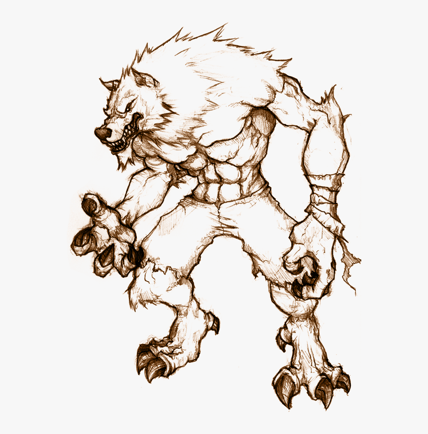 Werewolf Drawing 2 - Sketch, HD Png Download, Free Download