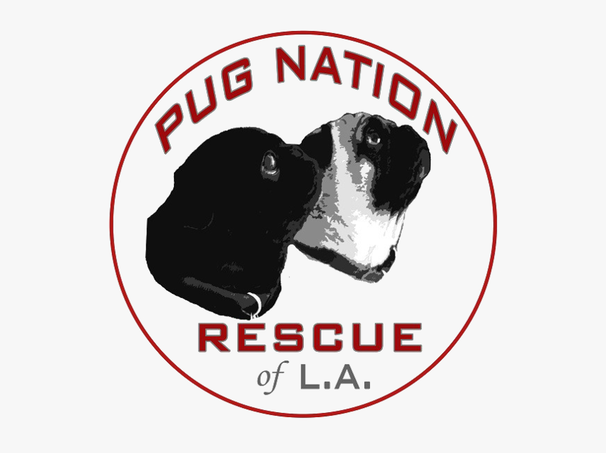 Pug Nation Of La Logo 2016 - Pug Nation, HD Png Download, Free Download