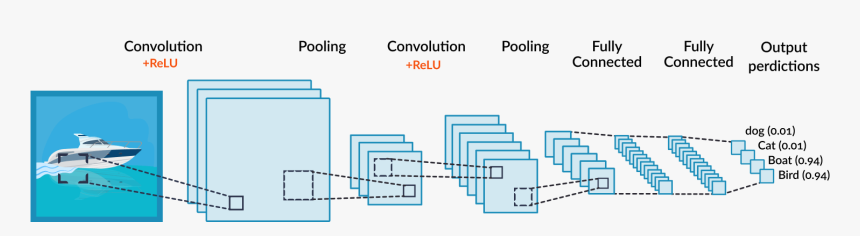 Convolutional Neural Network, HD Png Download, Free Download