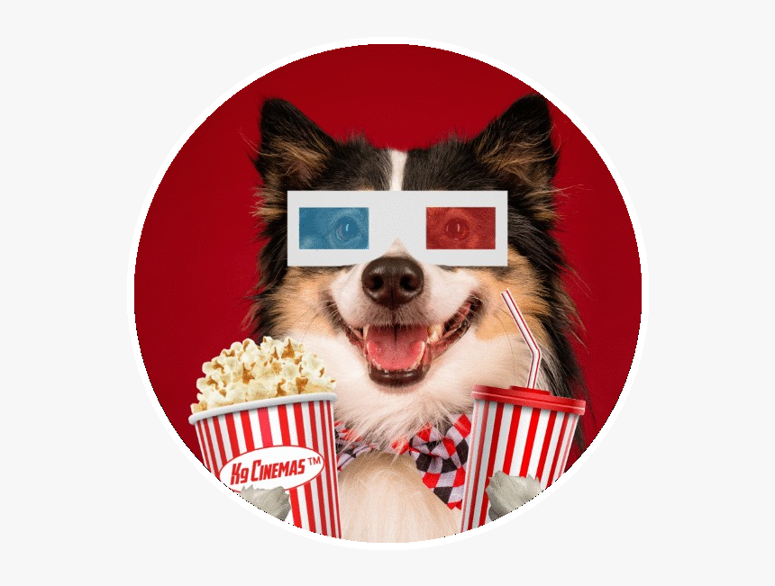 K9 Cinemas, HD Png Download, Free Download