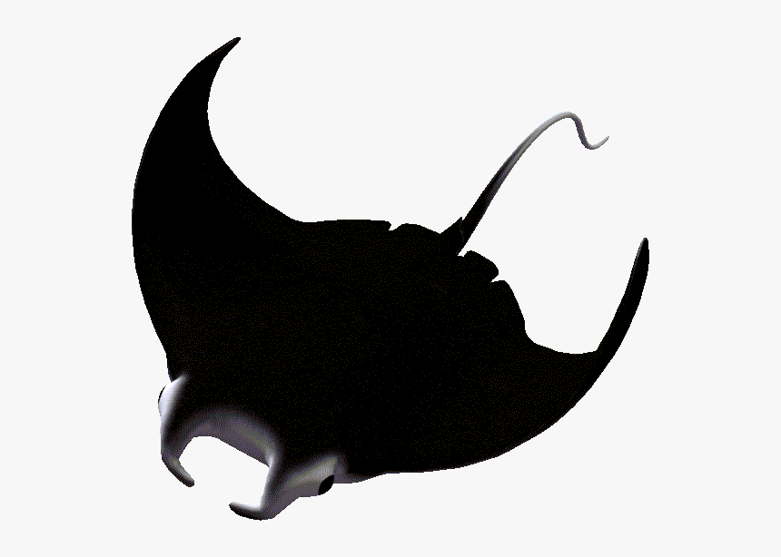 Manta Ray Png, Transparent Png, Free Download