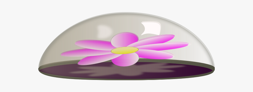 Paper Flower In Glass - Circle, HD Png Download, Free Download