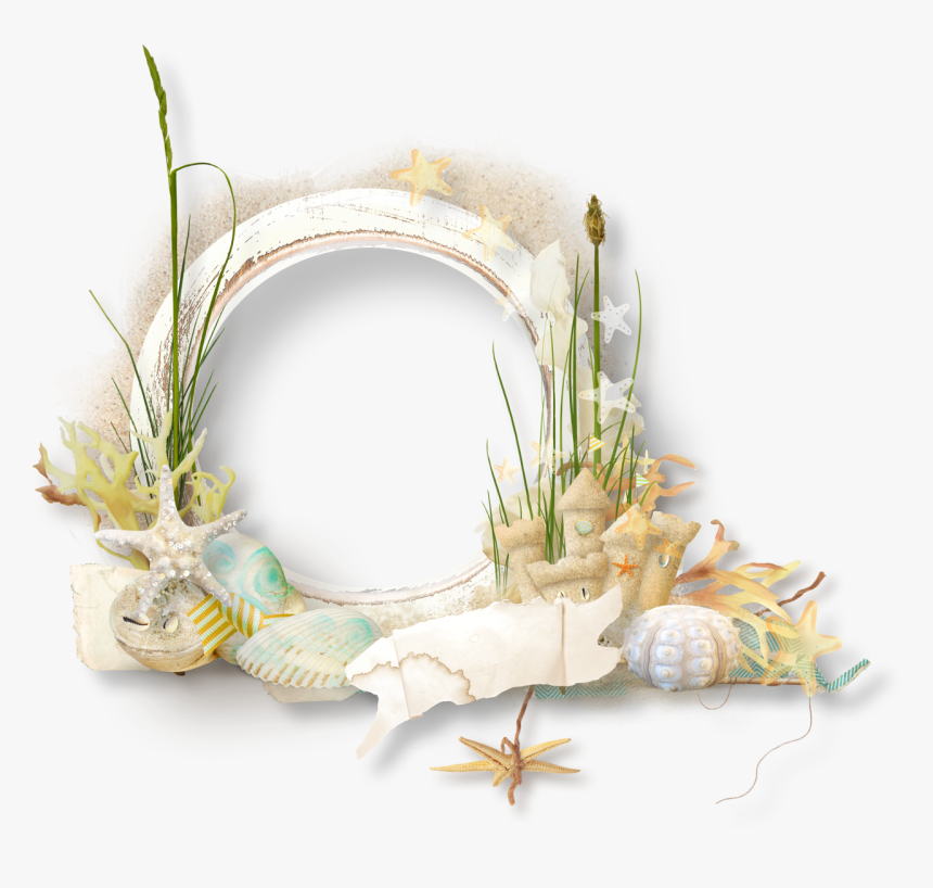 Seaside Clipart Beach Frame - Seashell Frame Transparent Background, HD Png Download, Free Download