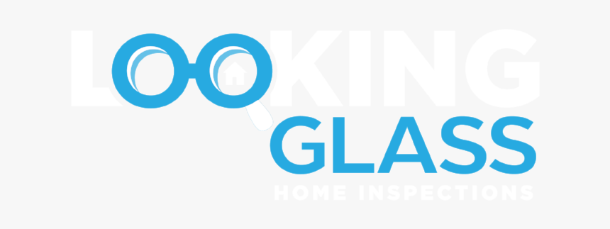 Lookingglass Web 2-01, HD Png Download, Free Download