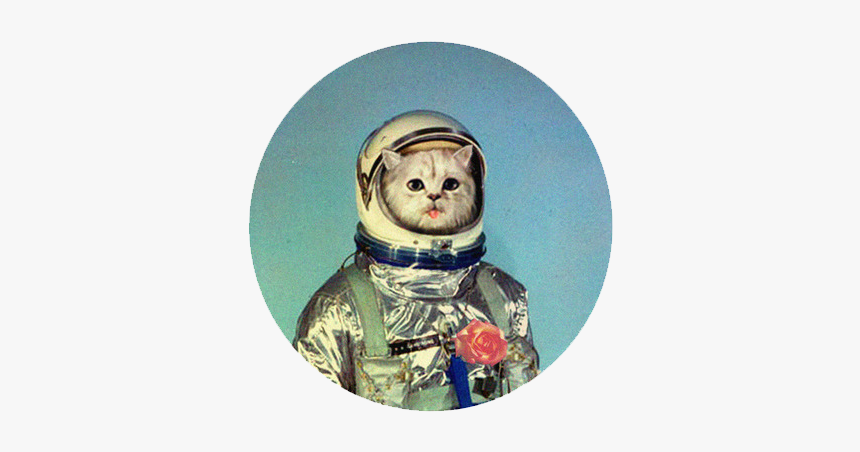 Cat Astronaut, HD Png Download, Free Download