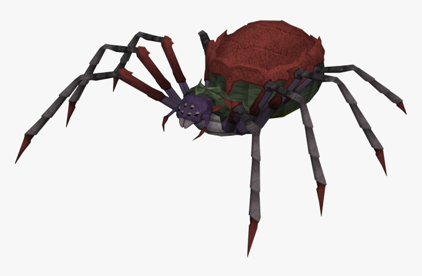 Spiderqueen - Runescape Giant Spider, HD Png Download, Free Download