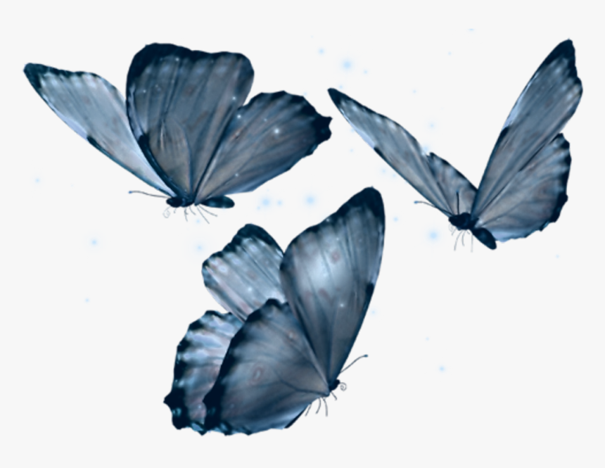 #butterfly #art #filter #newbrushes #blue #aesthetic - Transparent Background Butterfly Png, Png Download, Free Download