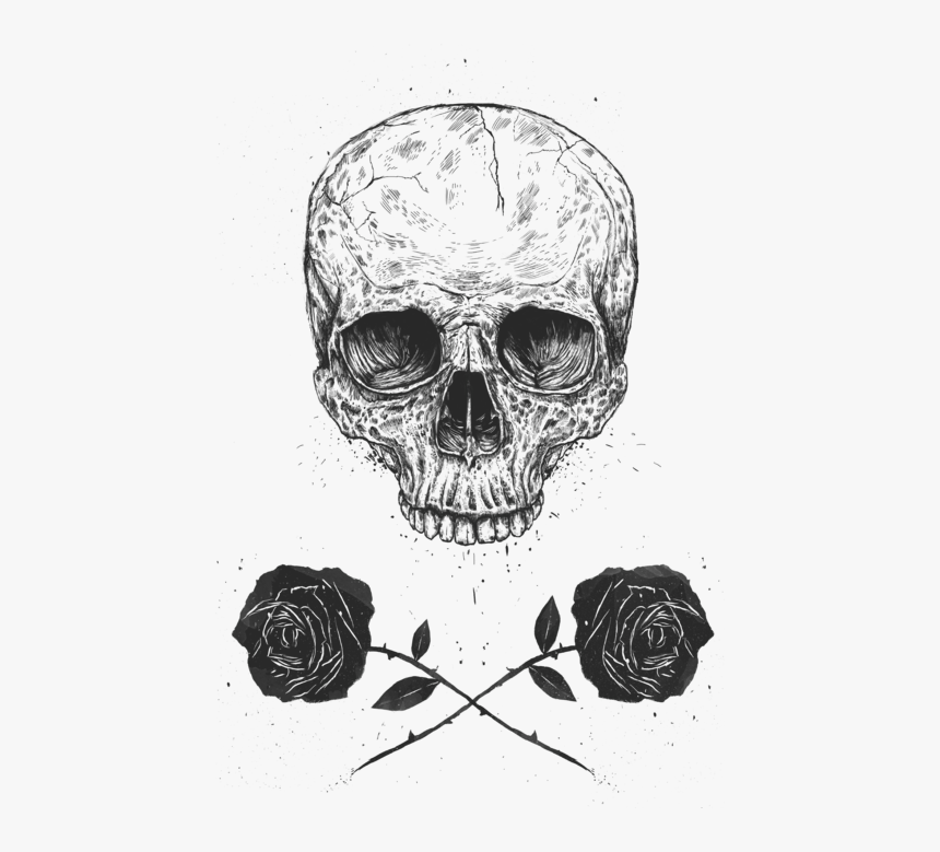 Skull With Roses Drawing, HD Png Download, Free Download