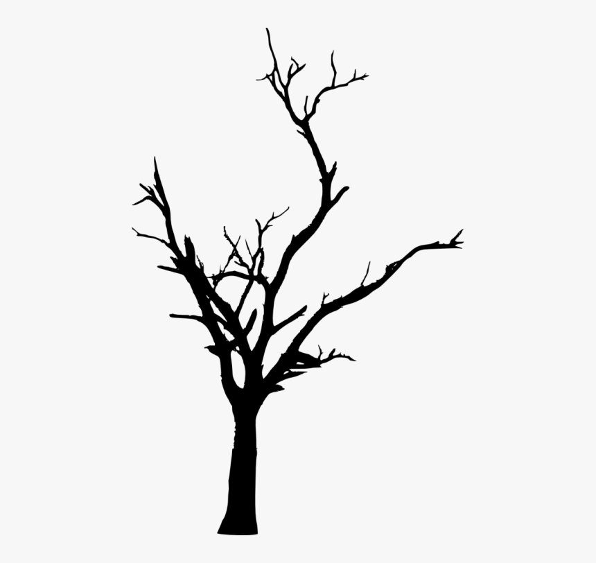 Free Png Dead Tree Silhouette Png Images Transparent - Transparent Dead Tree Silhouette, Png Download, Free Download