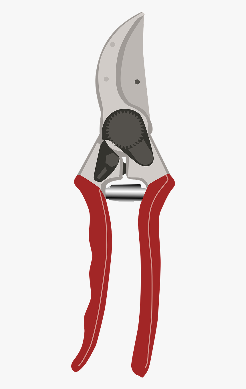 Clipper Png, Transparent Png, Free Download
