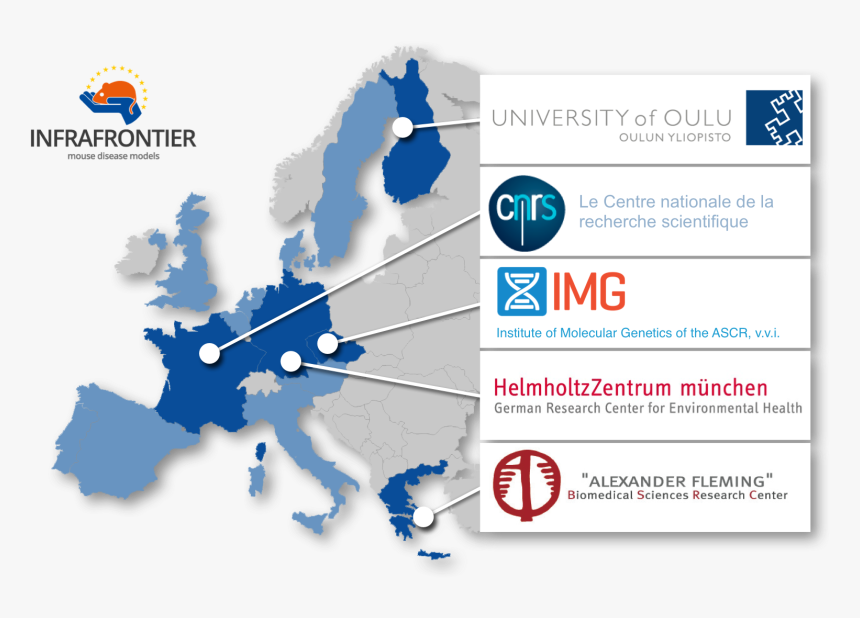 The Infrafrontier Gmbh - Food Waste In Europe Map, HD Png Download, Free Download