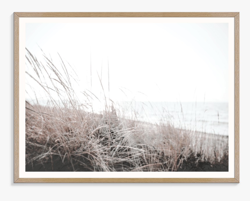 Picture Frame, HD Png Download, Free Download