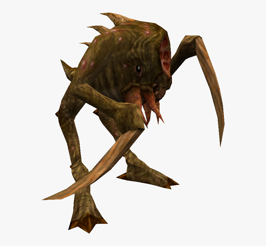 Fish, HD Png Download, Free Download