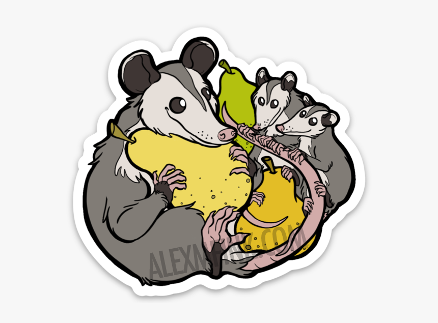 Opossum Family With Pears - Cartoon, HD Png Download, Free Download