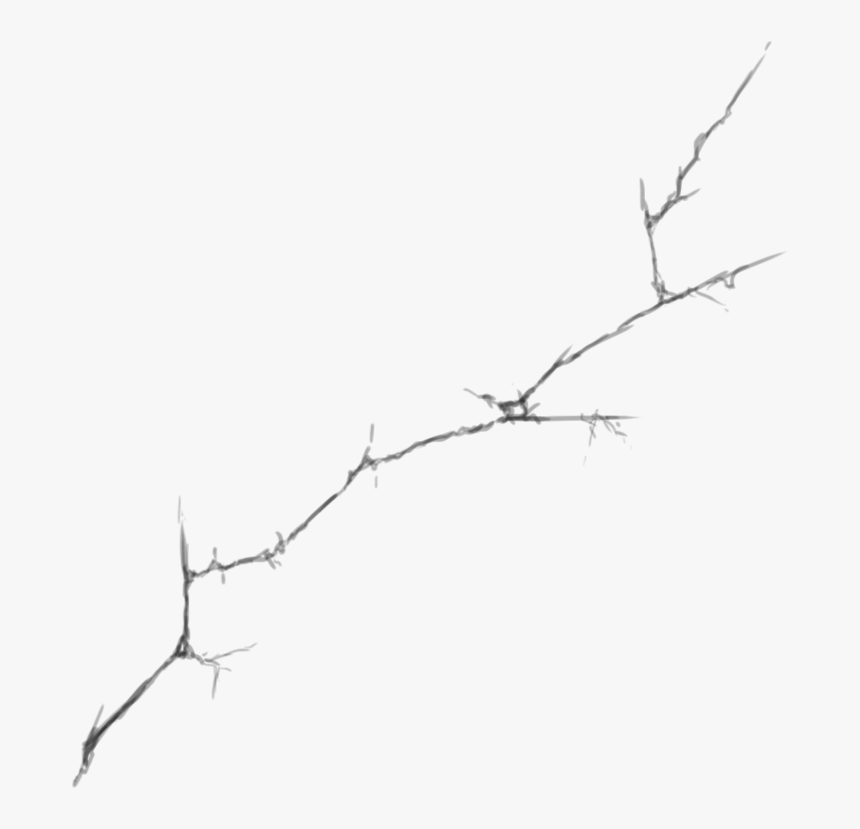 Twig, HD Png Download, Free Download