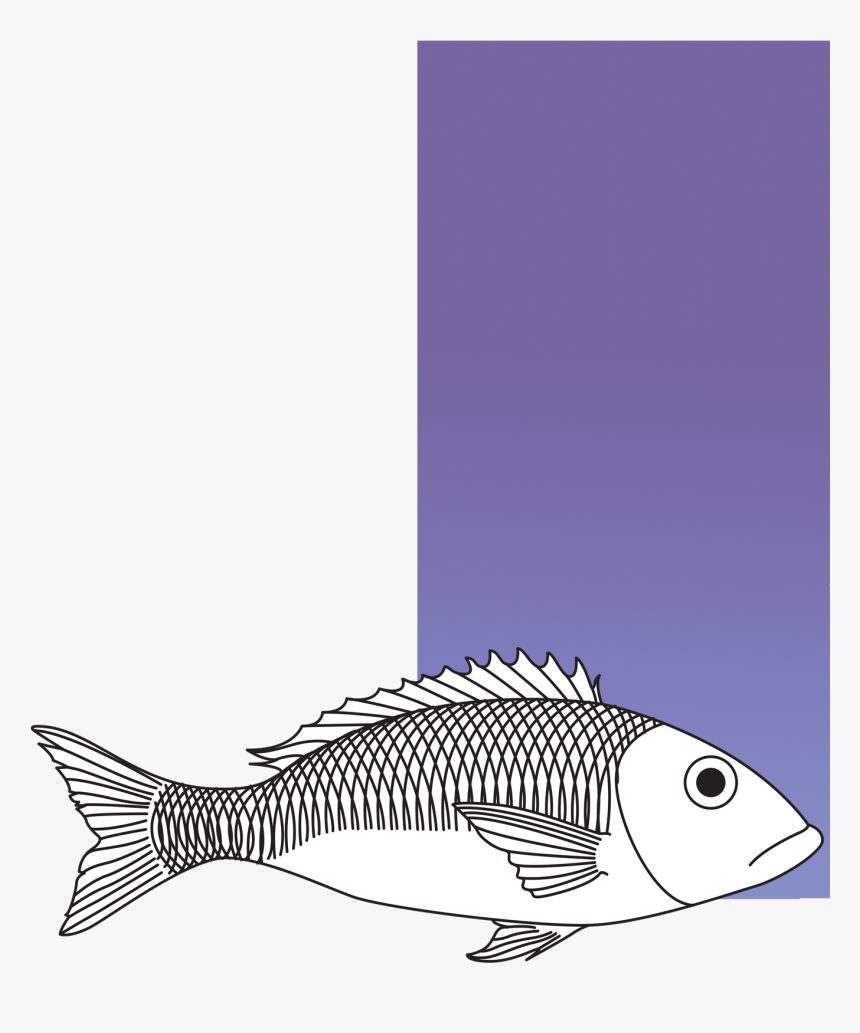 Perch Clipart , Png Download - Perch, Transparent Png, Free Download