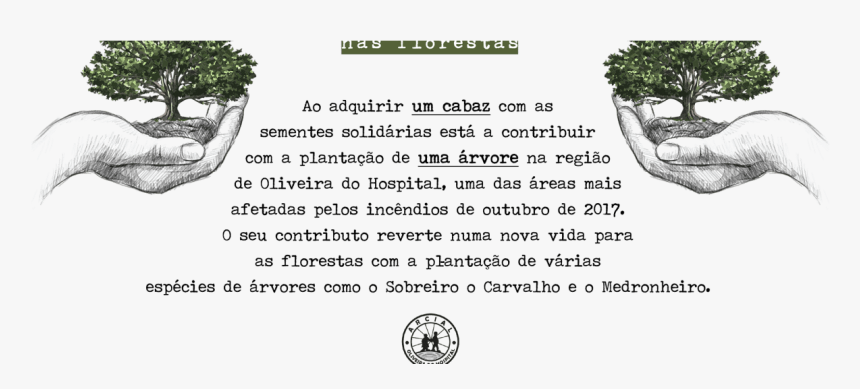 Houseplant, HD Png Download, Free Download