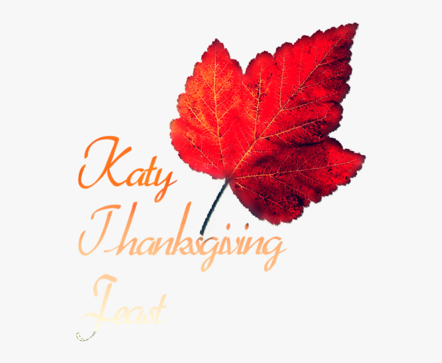 Katy Thanksgiving Community Dinner Feast Serves Home - Autumn, HD Png Download, Free Download