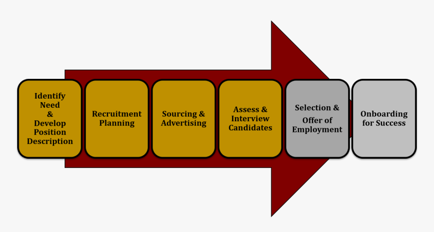 Human Resource Management Process, HD Png Download, Free Download