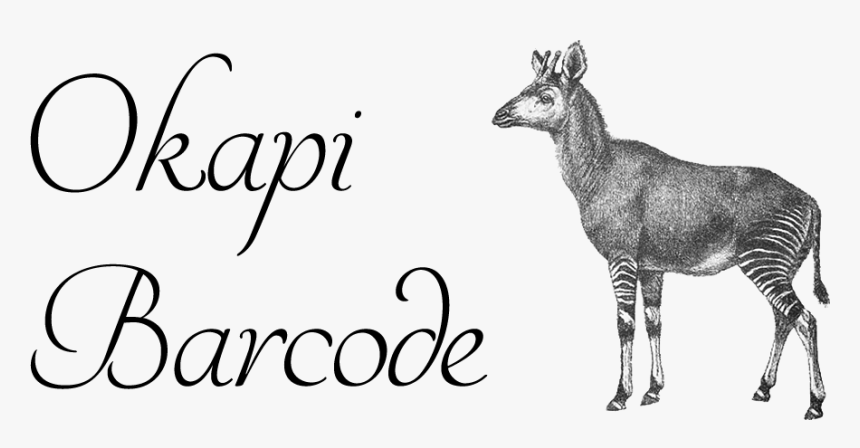 Okapi Drawing, HD Png Download, Free Download