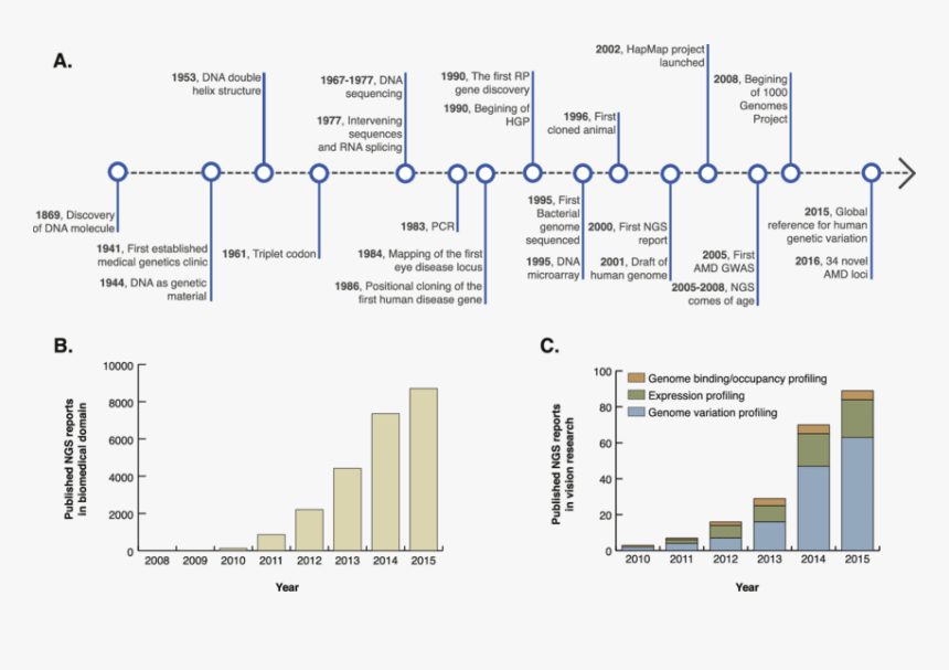 Next Generation Sequencing Timeline, HD Png Download, Free Download