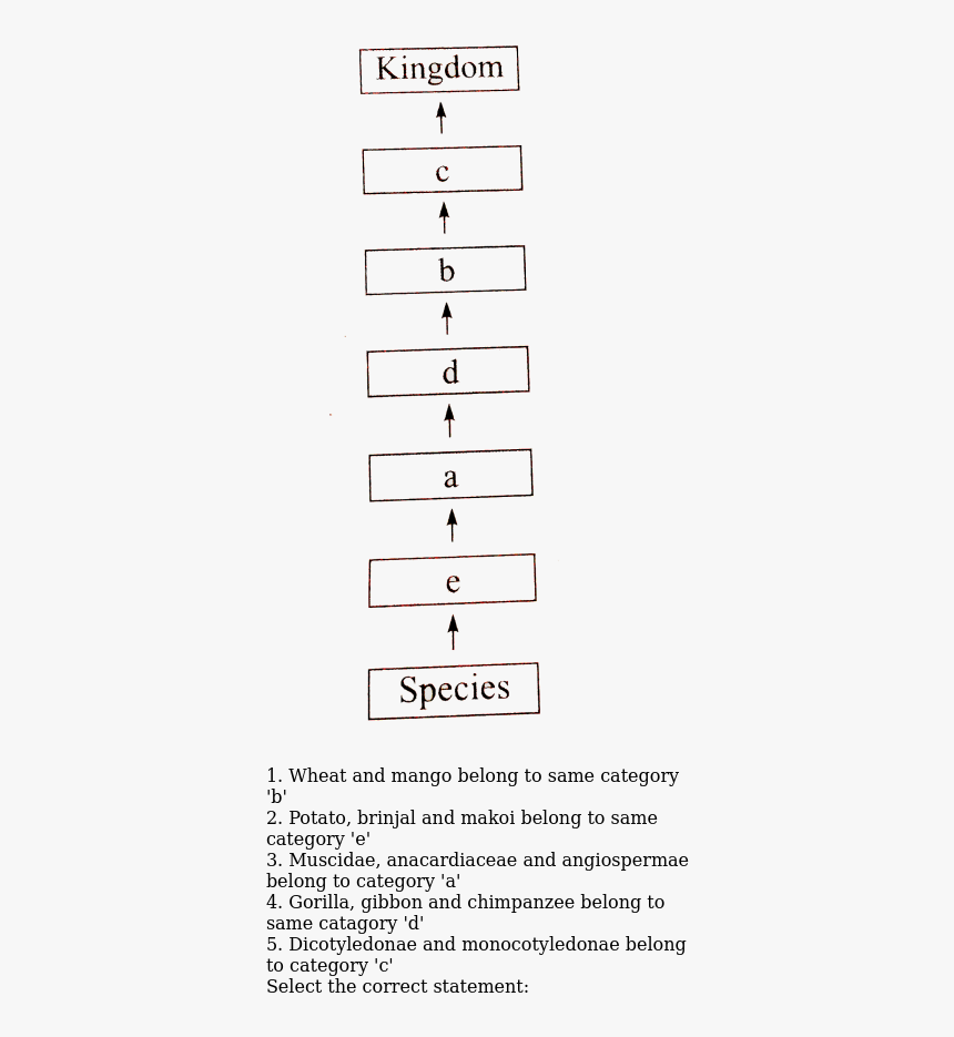 Number, HD Png Download, Free Download