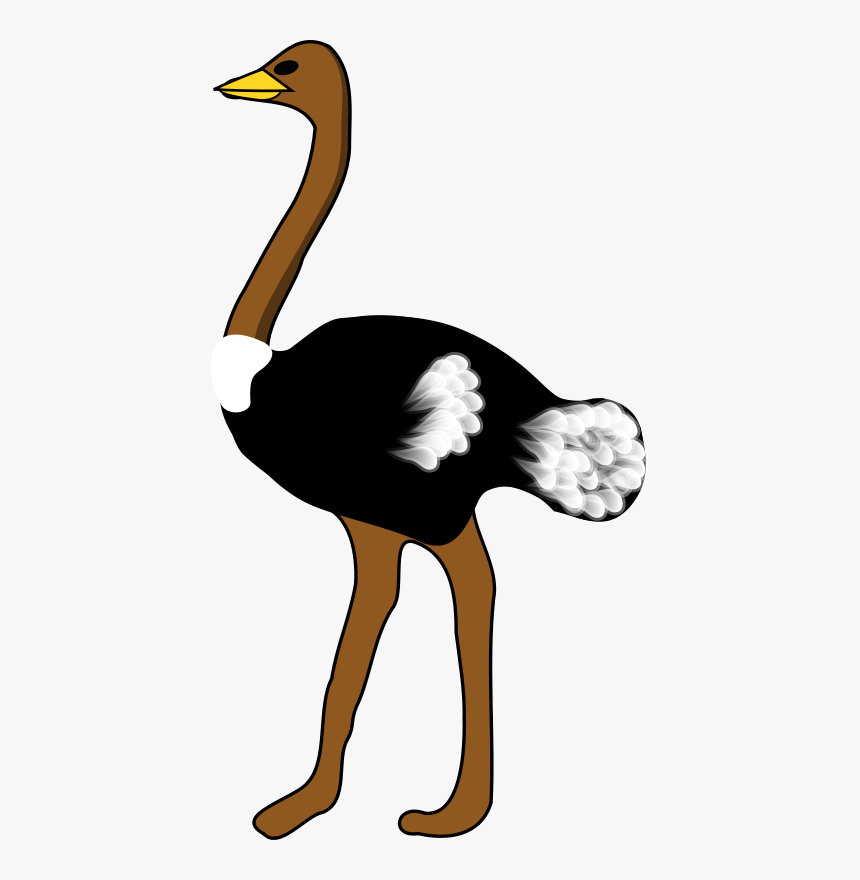 Big Bird Clipart - Ostrich Clipart, HD Png Download, Free Download