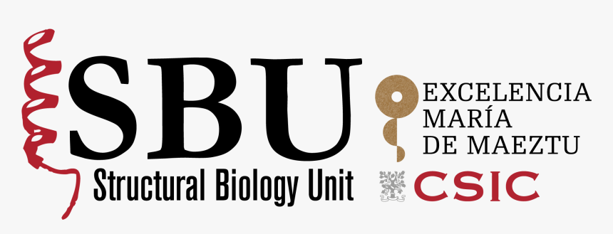 Structural Biology Unit Ibmb-csic - Spanish National Research Council, HD Png Download, Free Download