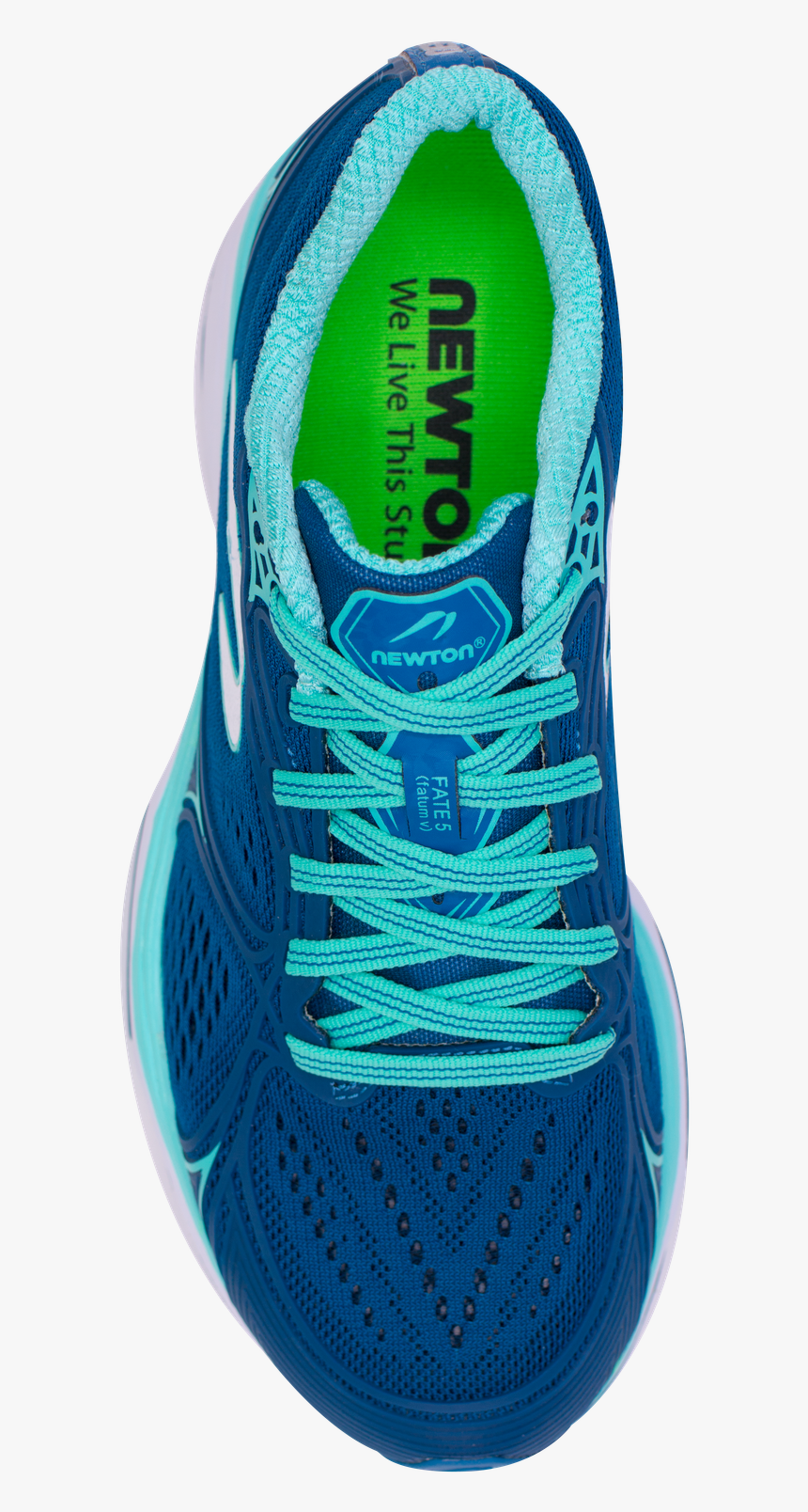 Running Shoe, HD Png Download, Free Download