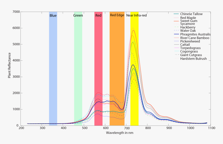 Micasense Rededge Spectral Sensitivity, HD Png Download, Free Download