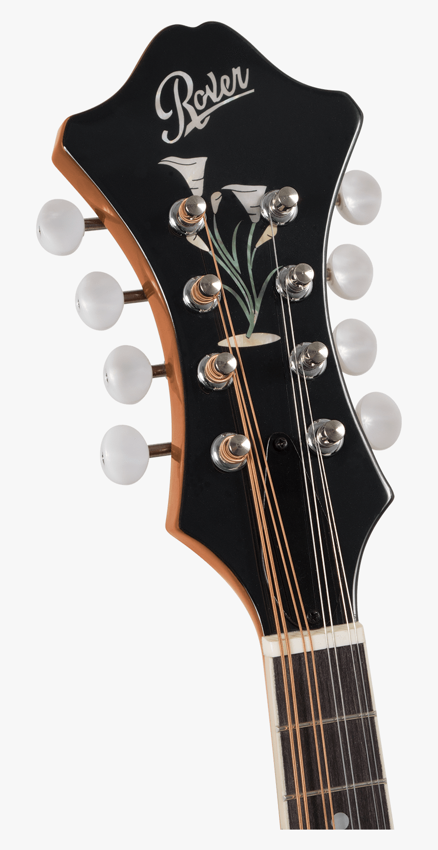 Mandolins Rover Rm 75 Deluxe Student F Model Mandolin - Electric Guitar, HD Png Download, Free Download