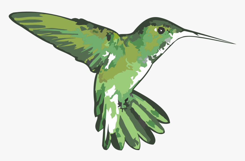 Logo - Ruby-throated Hummingbird, HD Png Download, Free Download