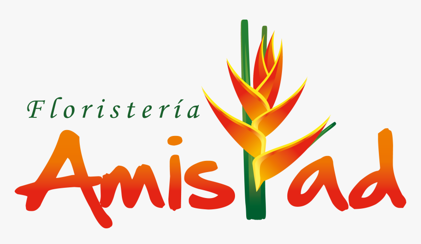 Arreglos De Flores En Medellín - Floristeria Amistad, HD Png Download, Free Download