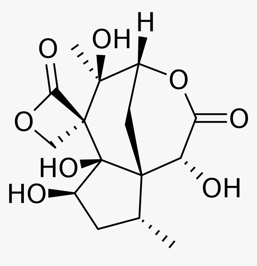 5 -( 1 2 Dihydroxyethyl )- 3 4 Dihydroxyfuran 2 5h, HD Png Download, Free Download